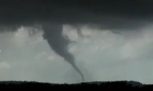 Springer_tornado3_030691