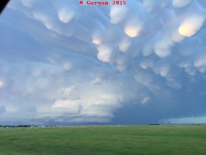 liberal_supercell_52515_cp